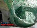 fishing in saudi arabia