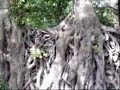 Addis Ababa to Gonder Part 1 Addis Ababa to Gonder Part 1
