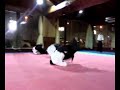 Aikido Shuseikan Ushiro Ukemi