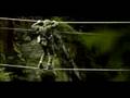 GRENADIER Making of (1/3)