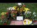 Tribute to Ayrton Senna (funeral,racing and crash photos)