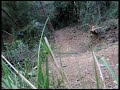 downhill in bcn downhill in bcn