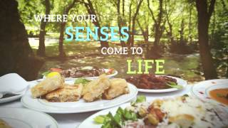 Gastronomy & City Break