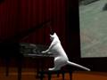 Tsuneo Dance music