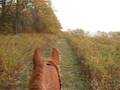 videos de 10-15-08 Trail Ride (2 of 3)