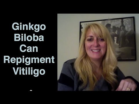 how to harvest ginkgo biloba