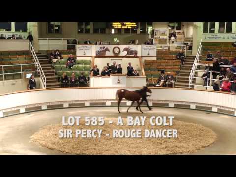 Tattersalls December Foal Sale 2015 Day 2 Video Review
