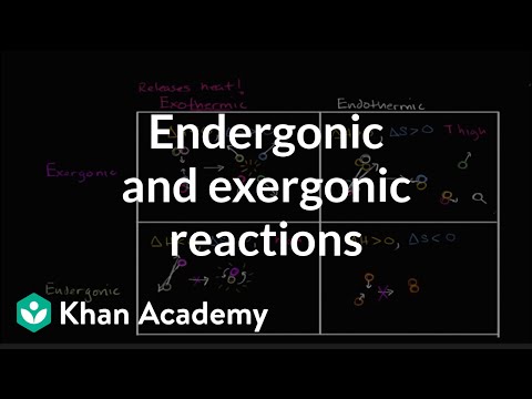Endergonic Exergonic Exothermic And Endothermic Video