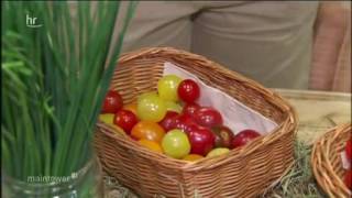 Geheimtipp BIO-unverpackt in Wiesbaden