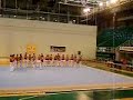 actuacion capoeira gimnastrada caceres 2006