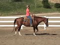 Dimensionally Hot - 2002 AQHA Sorrel Mare by Invested Dimension out of a Blazing Hot daughter. Contact Dana Hokana Quarter Horses at 951.302.9463 See more World Class horses available for sale at www.hokana.com 