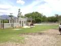 videos de Tropical solto...