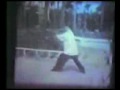 Cha Quan, Xing Yi Quan 1964
