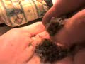 smoke joint of polen smoke joint of polen