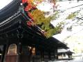 京都東山「泉涌寺」紅葉