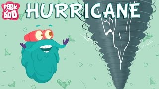 How Typhoons Form