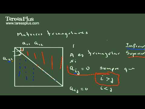 Regístrate para ver este video