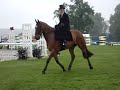 Surrey County Show - Side Saddle