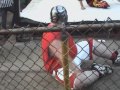BXW Goodbye 2011 Day 2 - Patrick Wade Wilson vs Drake Genocide (Angle 2)