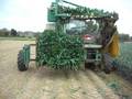 videos de Baekelandt Tieltstreet 247, B8760 Meulebeke.MOV