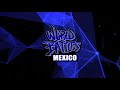 Garay vs Mesie – 2019 World Battles Mexico Popping Final