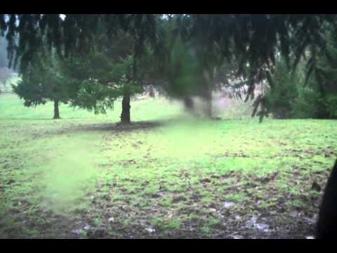 horses grand national