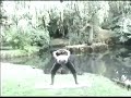 Holistic stretch with steve \"fitness Activator\"