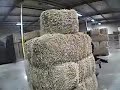 Airsoft Playground