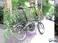 DAHON reformation