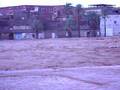 Bechar08802