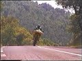 Fast Bikes 3