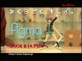 figma CM Vol1&2 figma CM Vol1&2