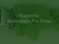 Hydroponic Tobacco Ebb and Flow