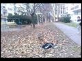 Tosi winter freerun