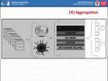 HealthMap: Digital Disease Detection