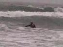 Noah Surfing & Holly Enjoying the Beach Noah Surfing & Holly Enjoying the Beach