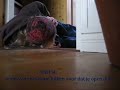 Zinloos geweld, diefstal