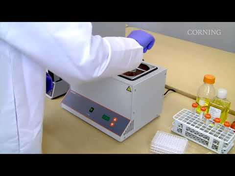 Corning- Digital Water Bath, 6L