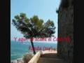 Plajta d'Aro 2008