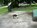 MiA ShoWinG oFF heR MaD SkiLLs 2