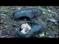 BBC: UN & Dutch disaster in Srebrenica