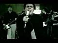 Bidê ou Balde - Bromélias