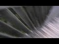 Bungy @Benni Raich Brucke 2 Bungy @Benni Raich Brucke 2
