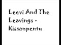 Leevi and the Leavings - Kissanpentu