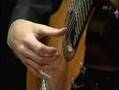 Goran Sollscher - 12 string guitar