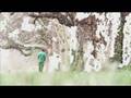 videos de Petrifacation (Still film) --for my grandpa