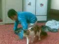 قط بس بسه بسة قطة قطه قطوة قطوتي قطوتى قطو cat the bes cut cet animal وحش بساس حلوة حلوه بسبوسه بسبوسة