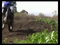 wr 250 f - the little yamaha