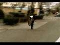 courtillieres