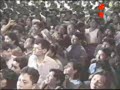 Adrian y los Dados Negros-la plantita